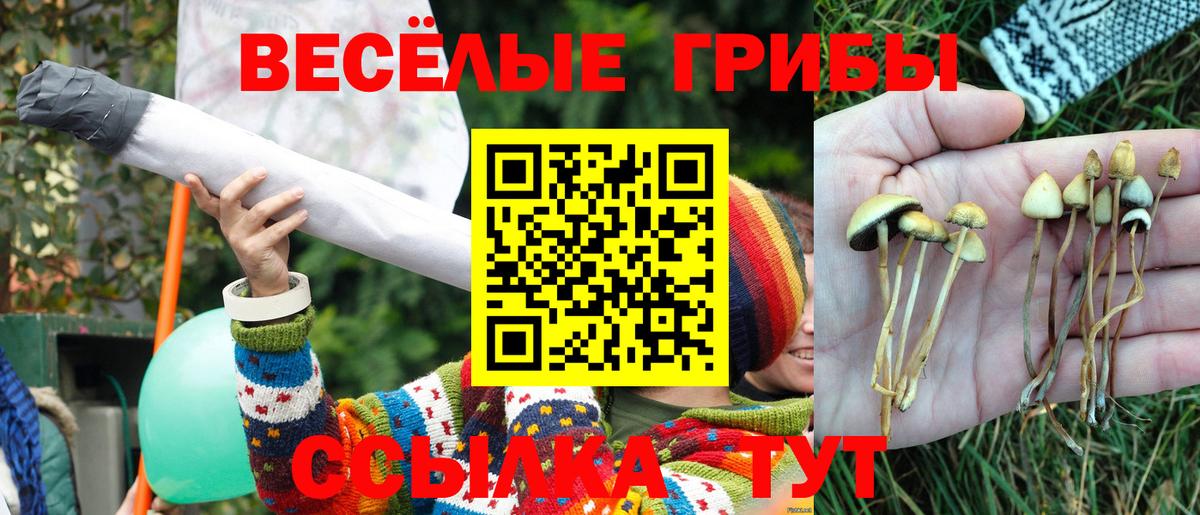 Нижний Тагил  Псилоцибиновые грибы Cubensis  Галлюциногенные грибы MAGIC MUSHROOMS  цена   Вход с VPN 